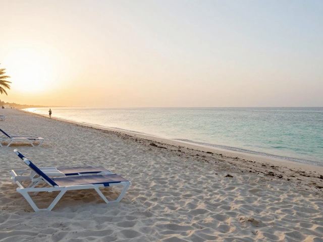 Dubai Beaches: Where to Unwind by the Sea